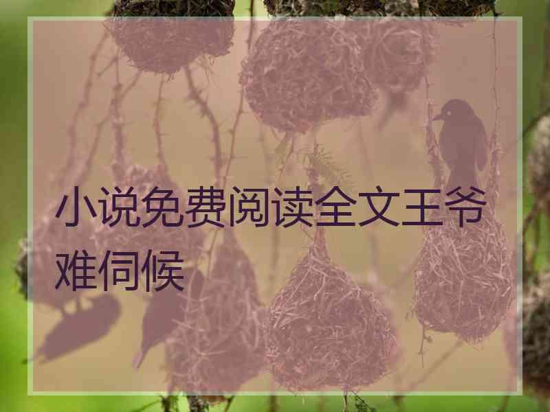 小说免费阅读全文王爷难伺候