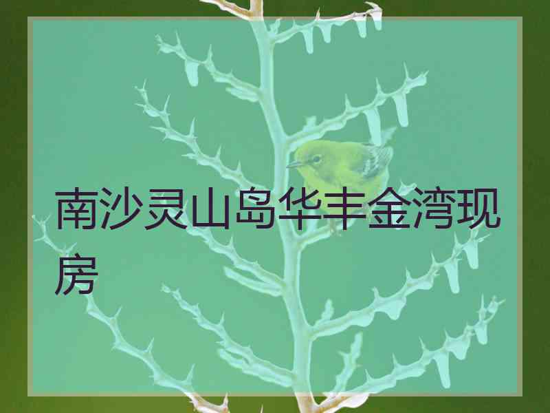 南沙灵山岛华丰金湾现房