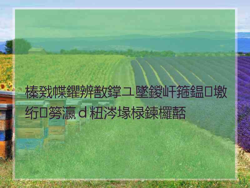 榛戣幉鑺辨敾鐣ユ墜鍐屽箍鎾墽绗簩瀛ｄ粈涔堟椂鍊欏嚭