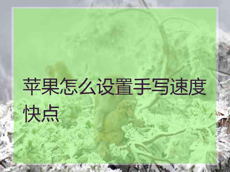 苹果怎么设置手写速度快点