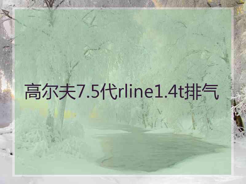 高尔夫7.5代rline1.4t排气