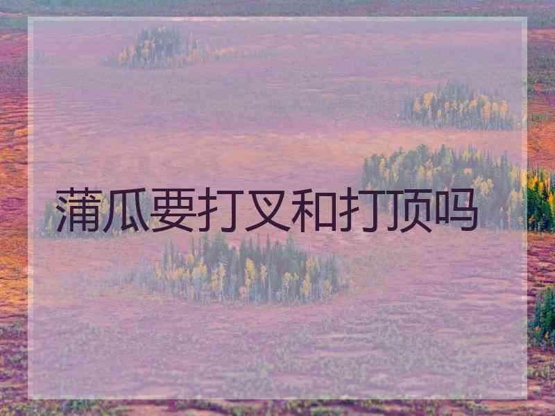 蒲瓜要打叉和打顶吗