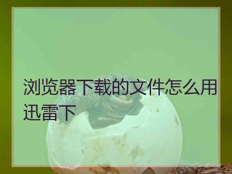 浏览器下载的文件怎么用迅雷下