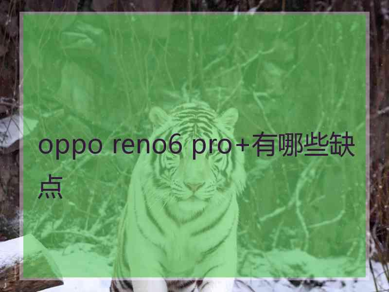 oppo reno6 pro+有哪些缺点