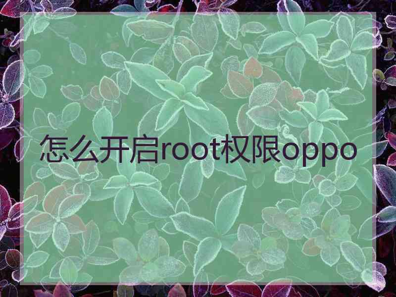 怎么开启root权限oppo