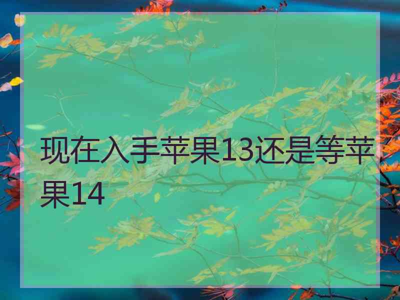 现在入手苹果13还是等苹果14