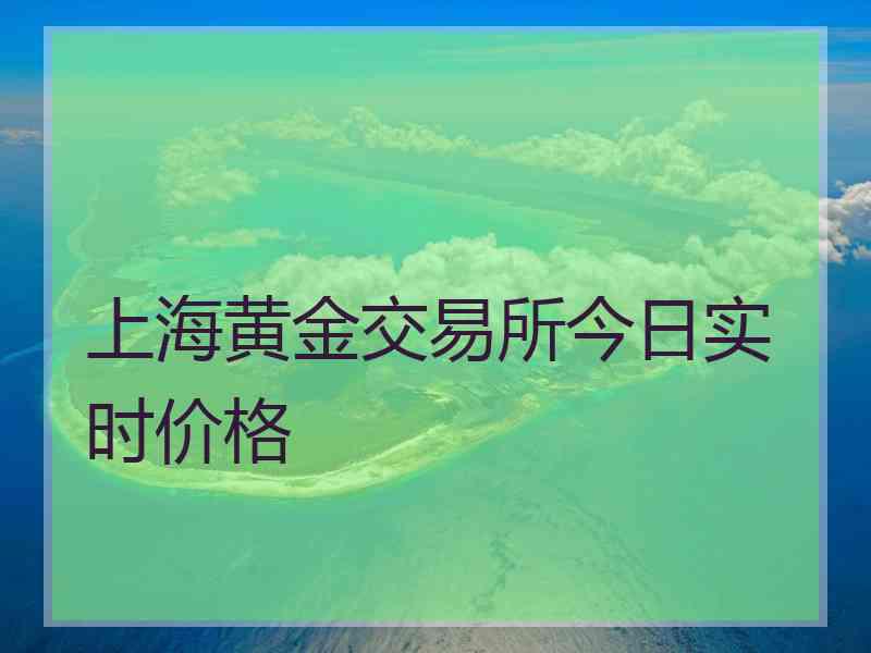 上海黄金交易所今日实时价格