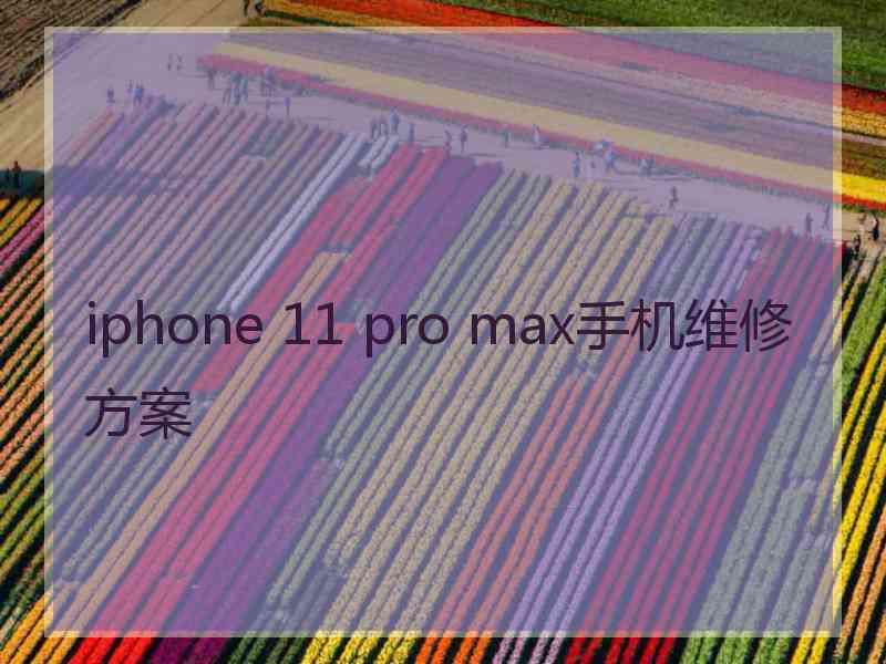 iphone 11 pro max手机维修方案