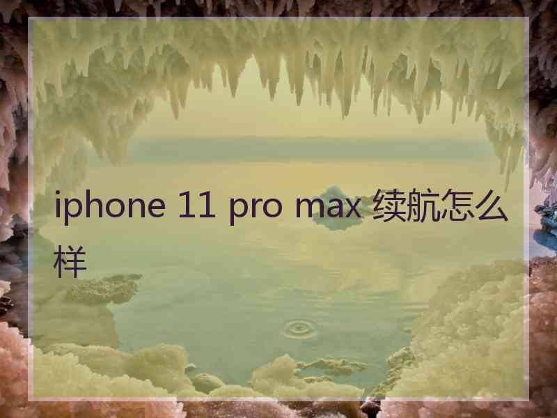 iphone 11 pro max 续航怎么样