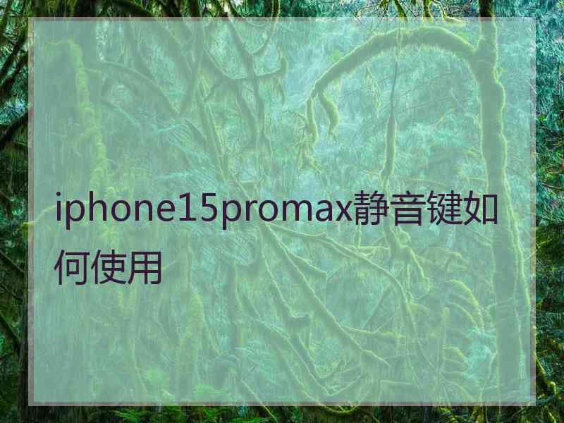 iphone15promax静音键如何使用