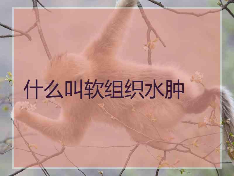 什么叫软组织水肿