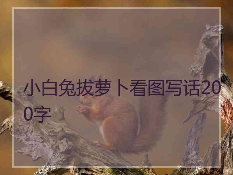 小白兔拔萝卜看图写话200字