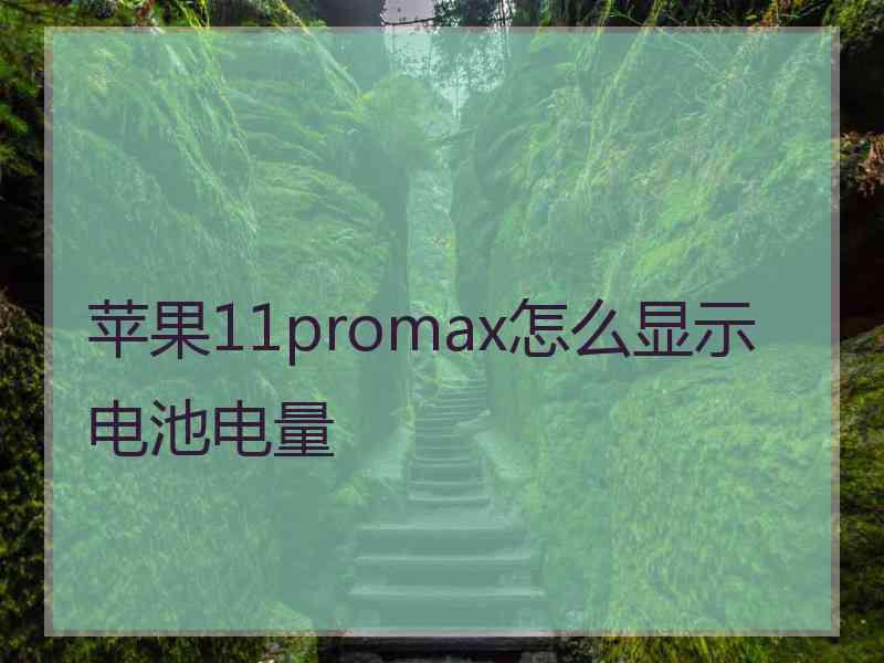 苹果11promax怎么显示电池电量