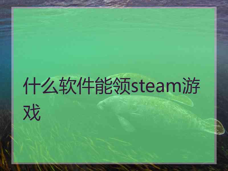 什么软件能领steam游戏