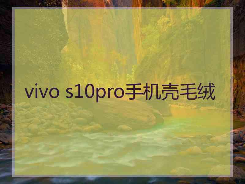 vivo s10pro手机壳毛绒