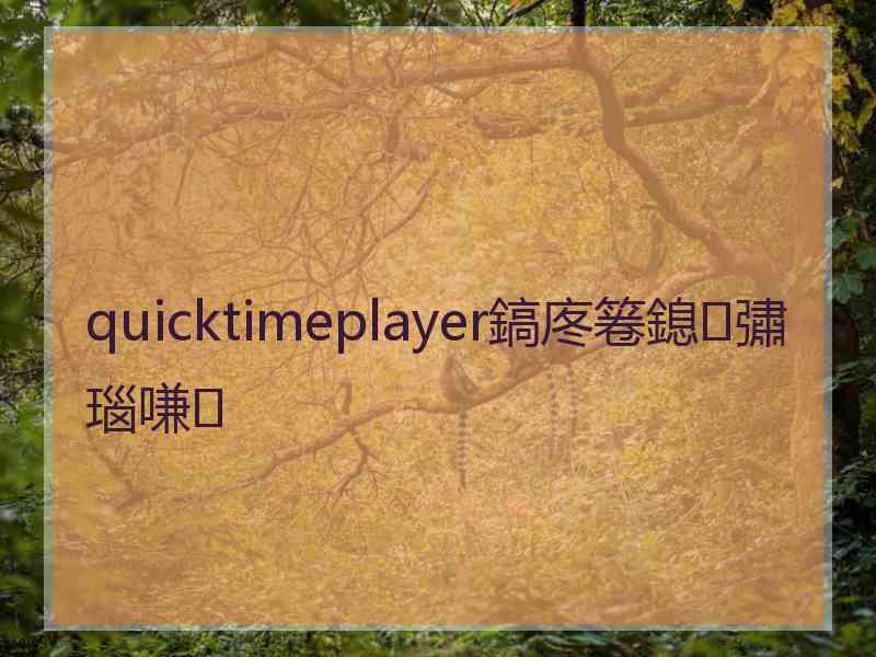 quicktimeplayer鎬庝箞鎴彇瑙嗛