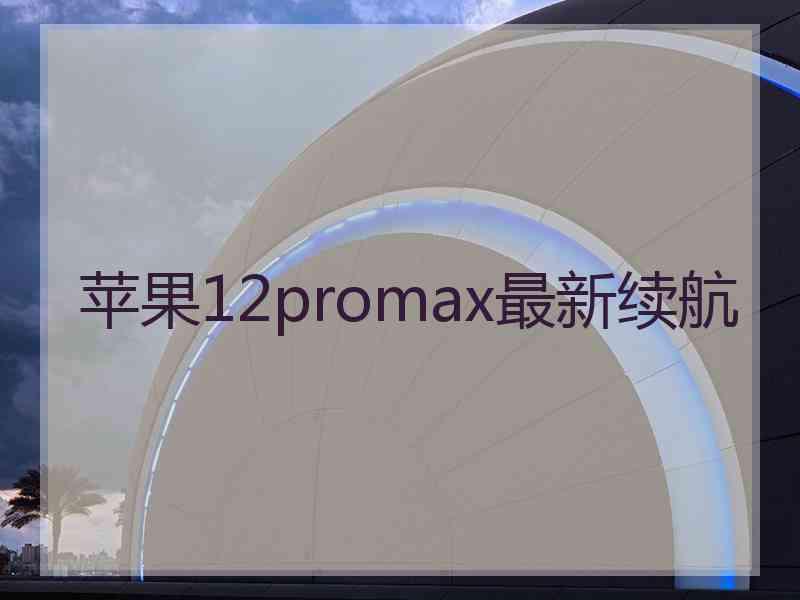 苹果12promax最新续航