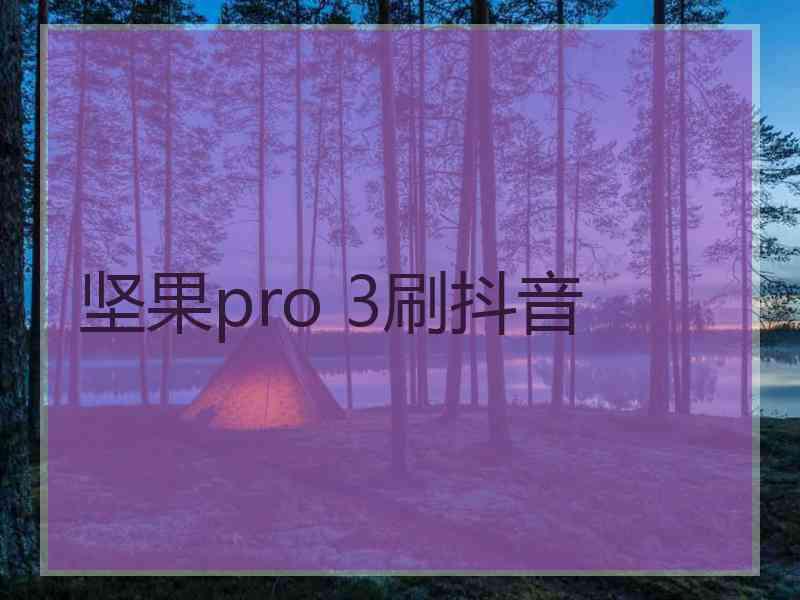 坚果pro 3刷抖音