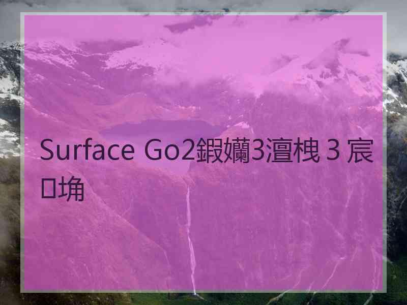 Surface Go2鍜孏3澶栧３宸埆