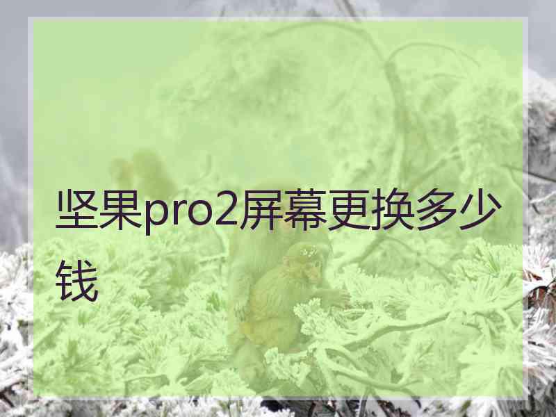 坚果pro2屏幕更换多少钱