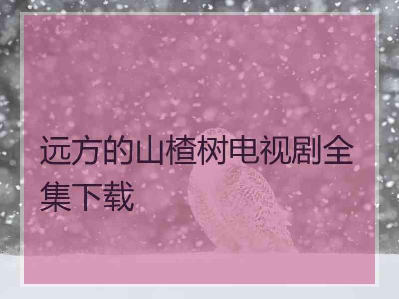 远方的山楂树电视剧全集下载