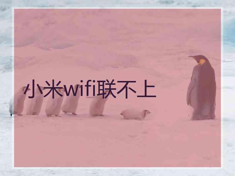 小米wifi联不上