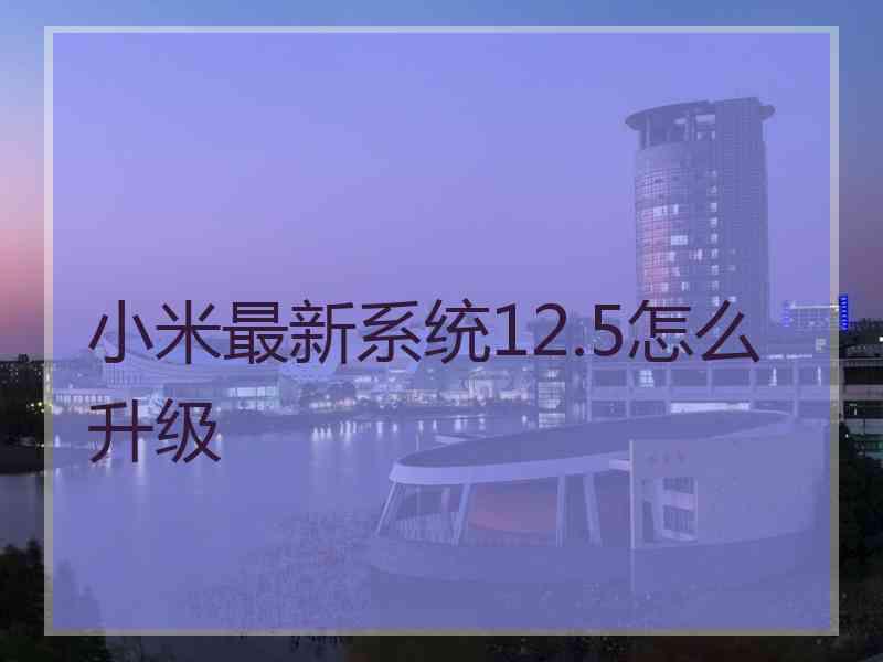 小米最新系统12.5怎么升级