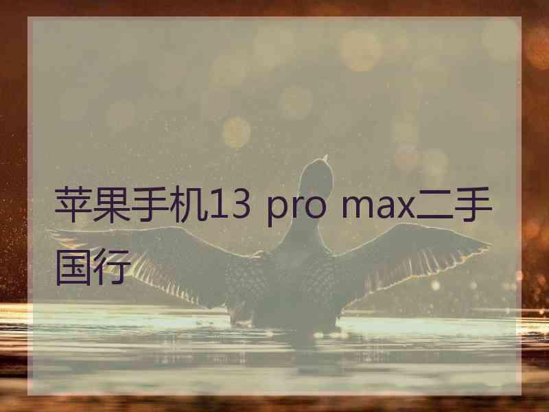 苹果手机13 pro max二手国行