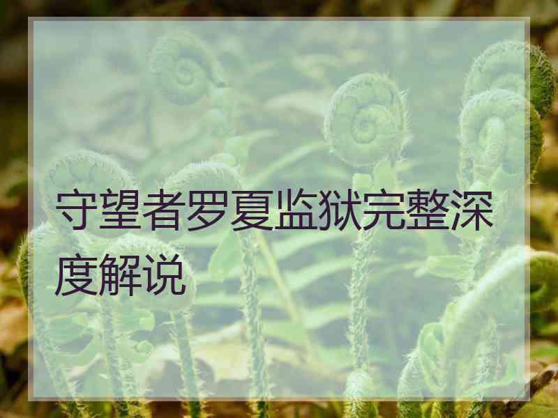 守望者罗夏监狱完整深度解说