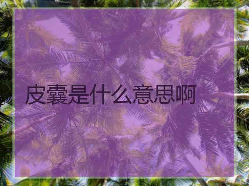 皮囊是什么意思啊