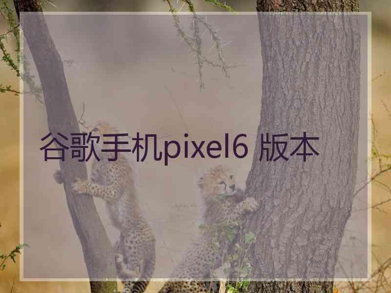 谷歌手机pixel6 版本