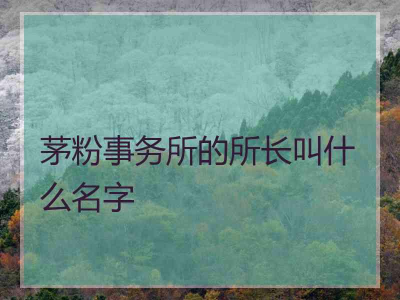 茅粉事务所的所长叫什么名字