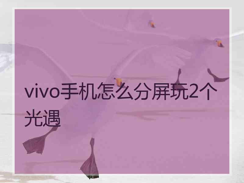 vivo手机怎么分屏玩2个光遇