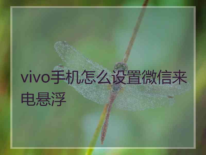 vivo手机怎么设置微信来电悬浮