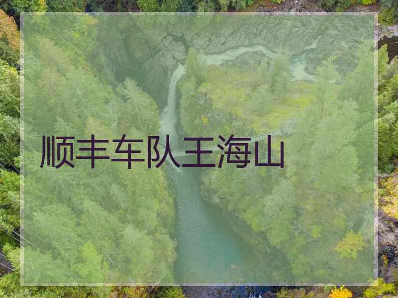 顺丰车队王海山