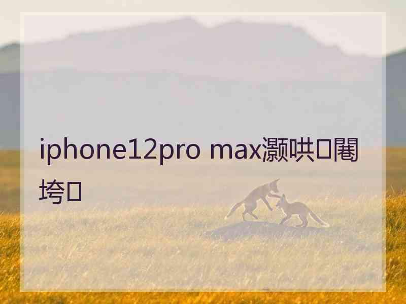 iphone12pro max灏哄闀垮