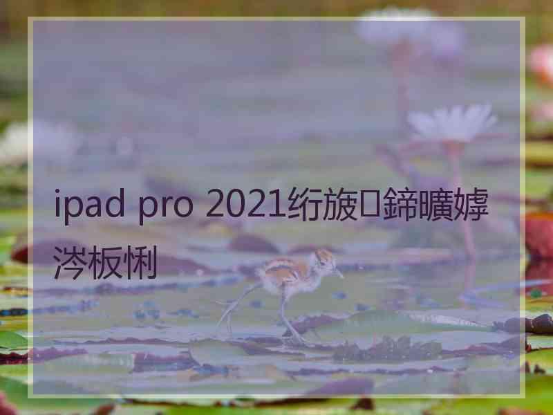 ipad pro 2021绗旇鍗曠嫭涔板悧