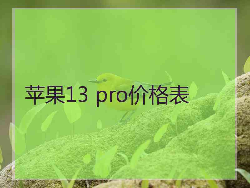 苹果13 pro价格表