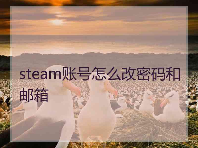 steam账号怎么改密码和邮箱