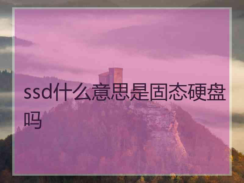 ssd什么意思是固态硬盘吗