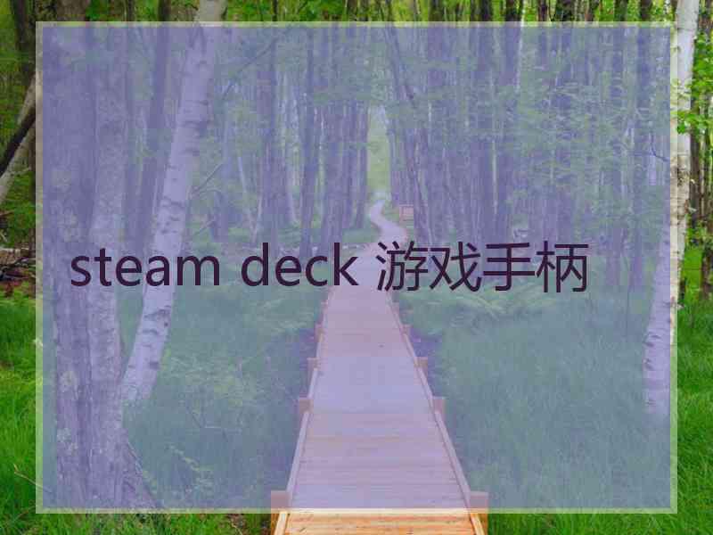 steam deck 游戏手柄