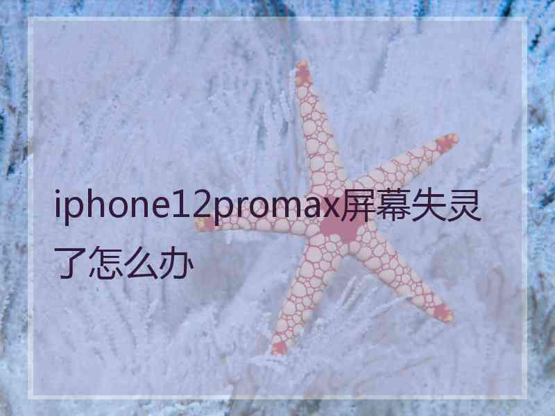 iphone12promax屏幕失灵了怎么办