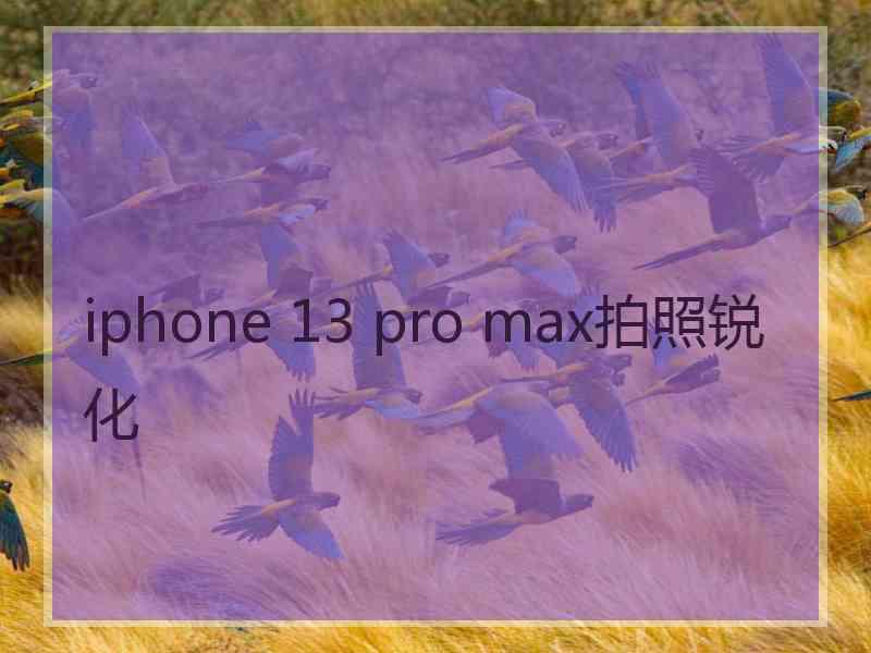 iphone 13 pro max拍照锐化