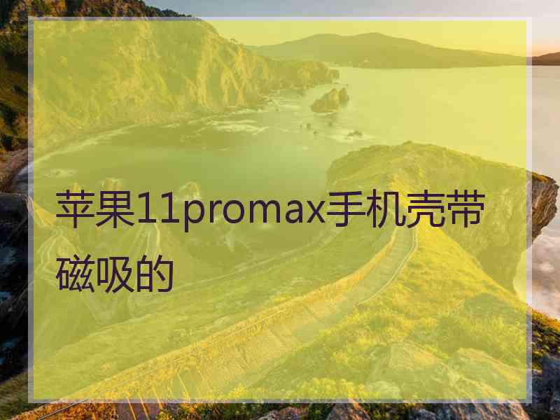 苹果11promax手机壳带磁吸的