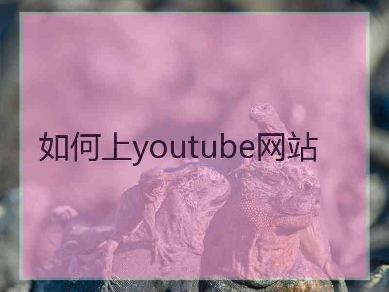 如何上youtube网站