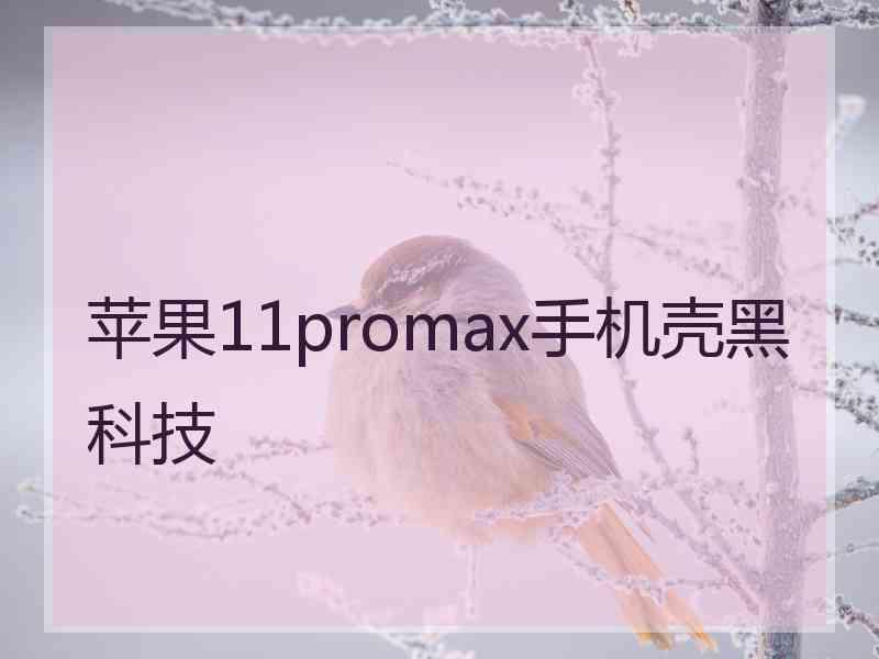 苹果11promax手机壳黑科技