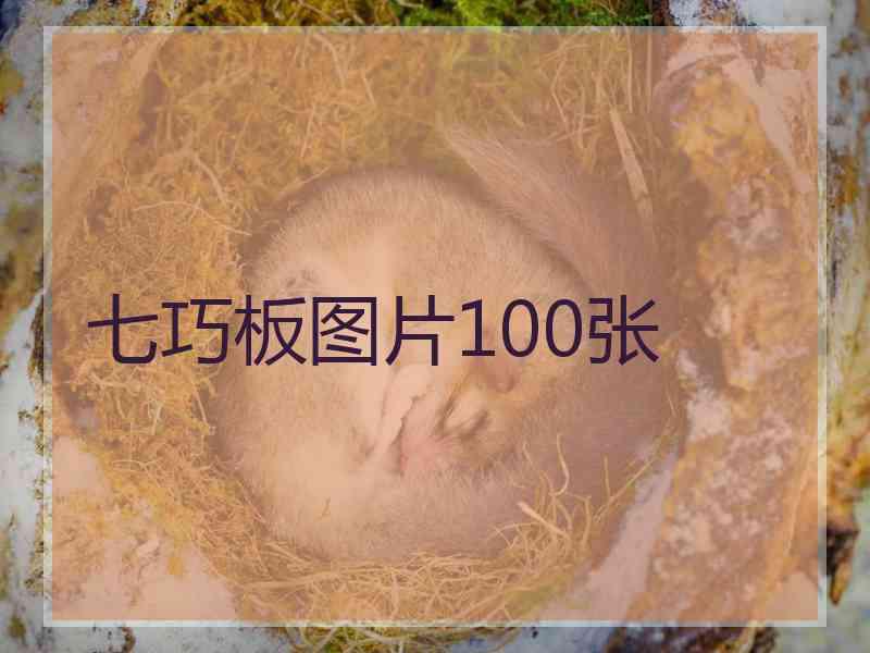 七巧板图片100张