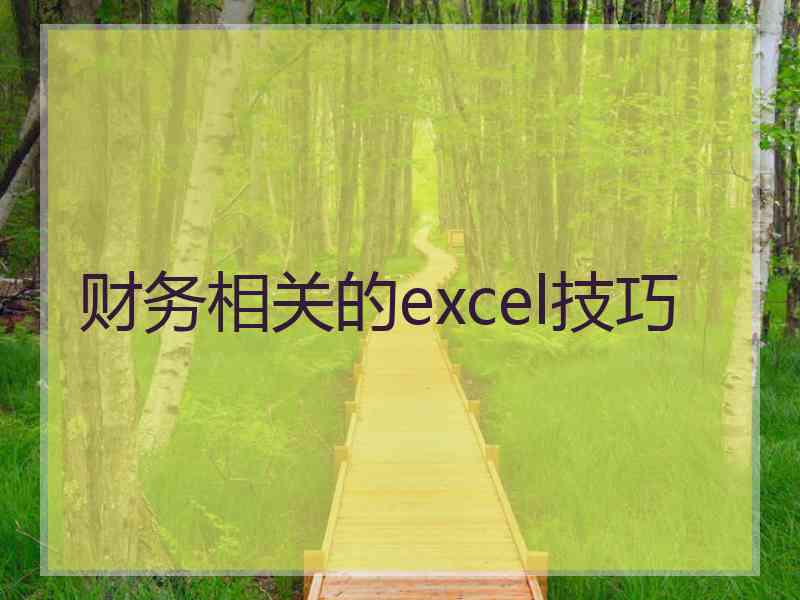 财务相关的excel技巧