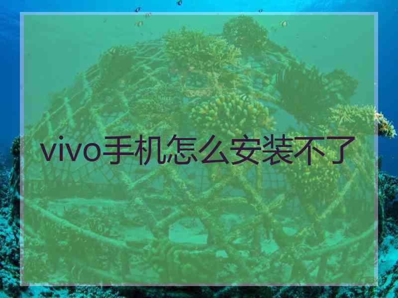 vivo手机怎么安装不了