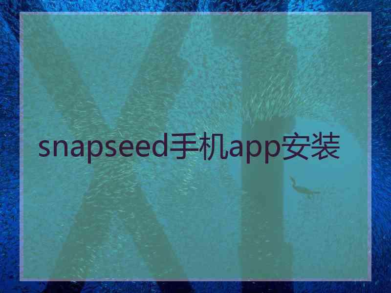 snapseed手机app安装